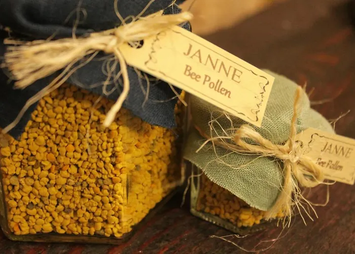 Janne With Self Check-in 3* Riga