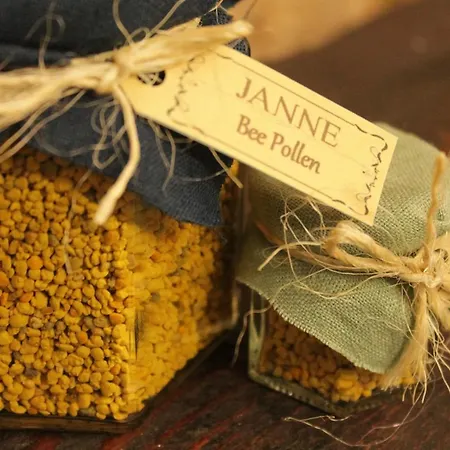 Janne Hotel 3* Riga